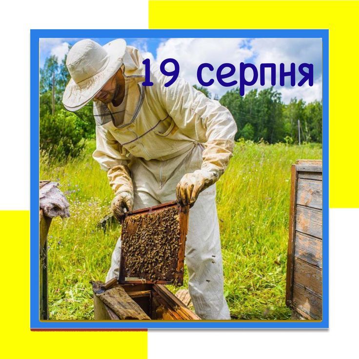 «Хай сусіди заздрять твоєму меду, а друзі — твоїй енергії»