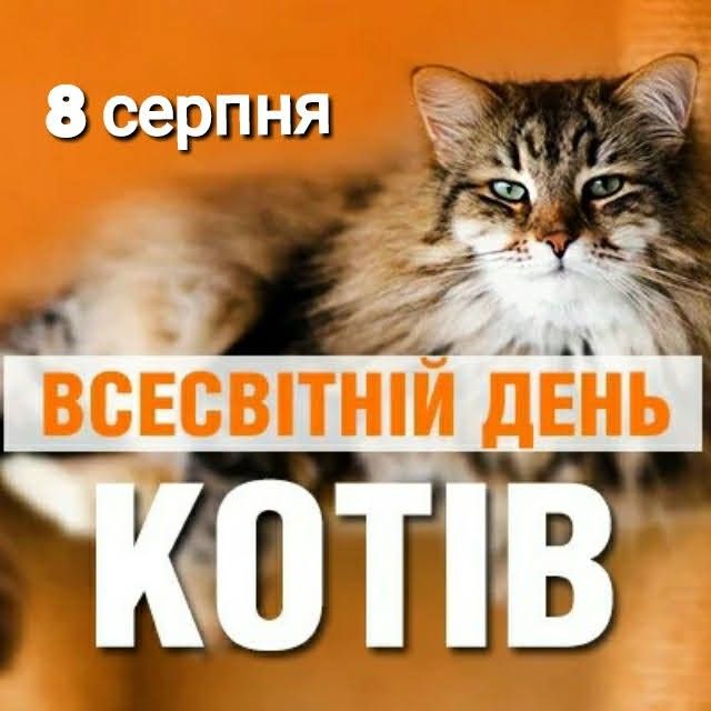 наймиліші привітання для справжніх котоманів