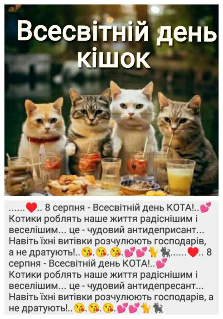 Побажання до Дня кішок