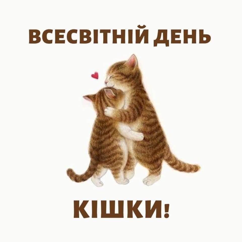 Побажання до Дня кішок