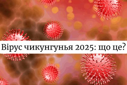 Новий вірус чикунгунья в Китаї 2025: як передається, симптоми та лікування