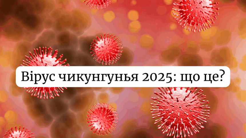 Новий вірус чикунгунья в Китаї 2025: як передається, симптоми та лікування