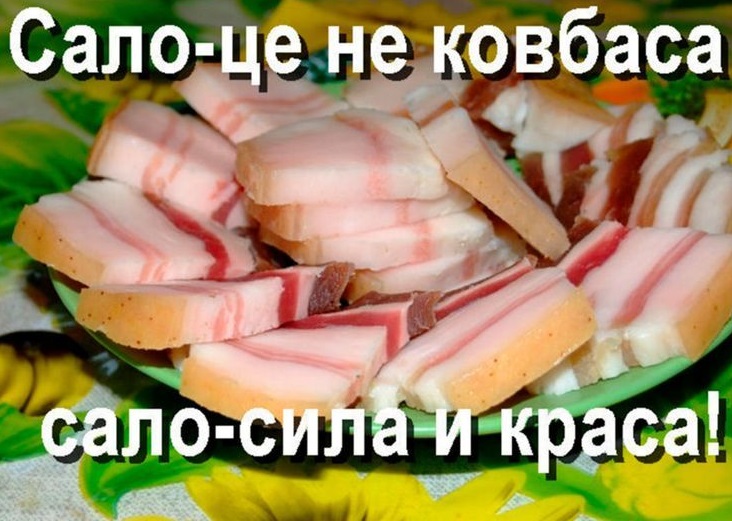 Побажання до Дня сала