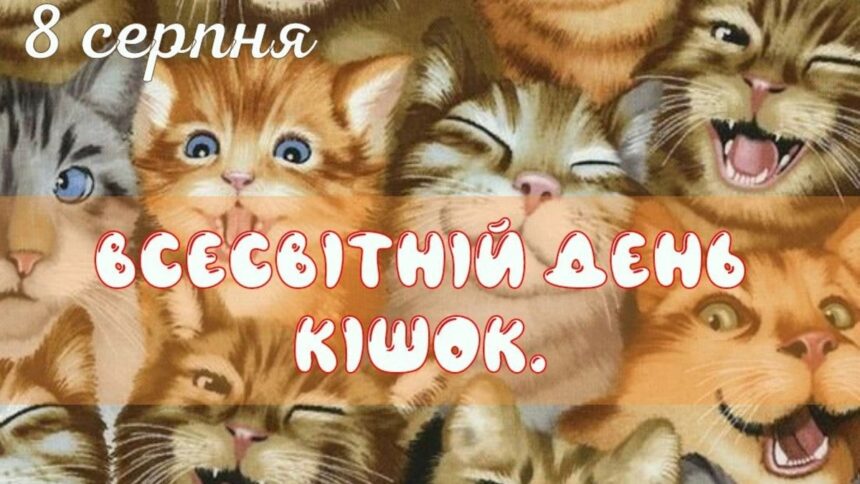 Побажання до Дня кішок