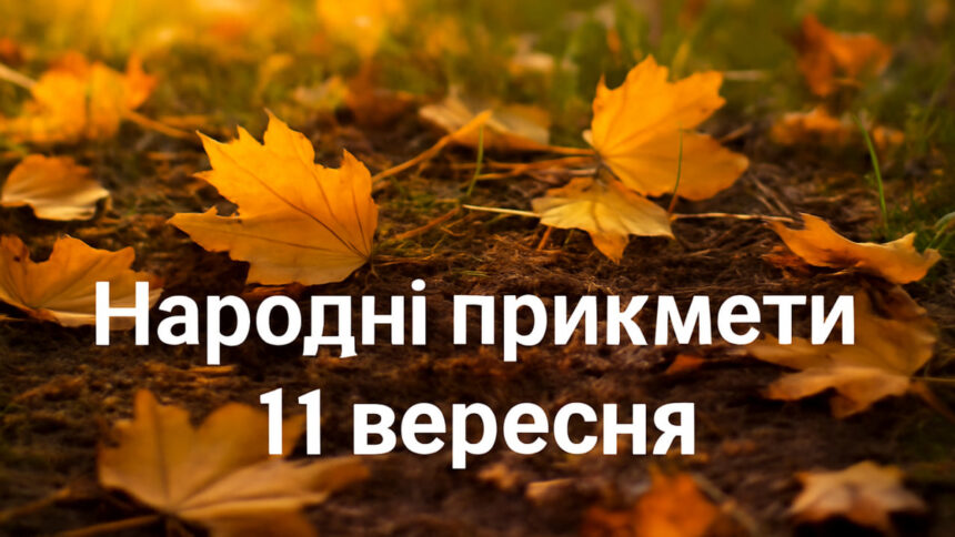 Що не можна робити