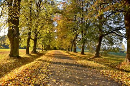 Прогноз погоди на 16 вересня в Україні: туман на заході та комфортна температура по всій країні