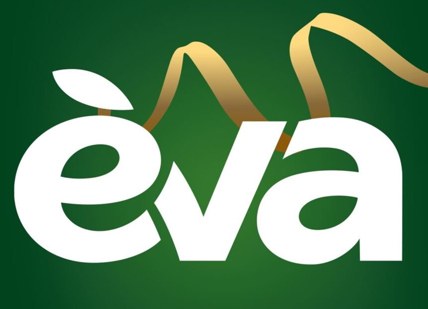 Товар дня EVA 23 грудня 2025: що можна купити зі знижкою до -65% лише сьогодні