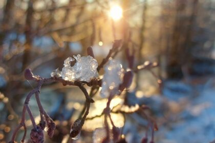 Погода в Україні 18 лютого 2026: де очікуються сніг, ожеледиця та штормовий вітер