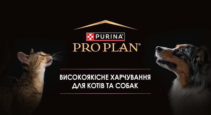 Який корм