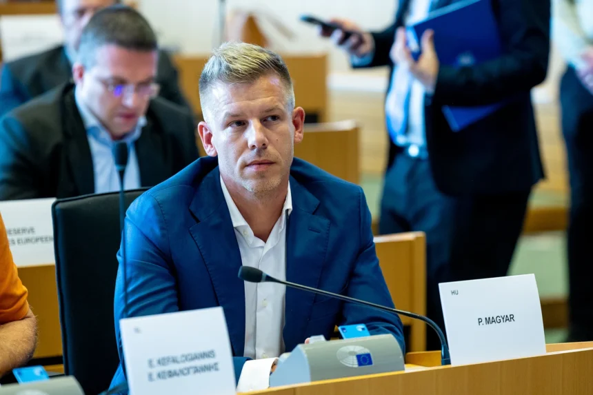 Хто такий Петер Мадяр, майбутній лідер Угорщини: біографія, позиція щодо НАТО, ЄС та війни в Україні