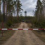 Білорусь обмежила доступ до лісів у 19 районах