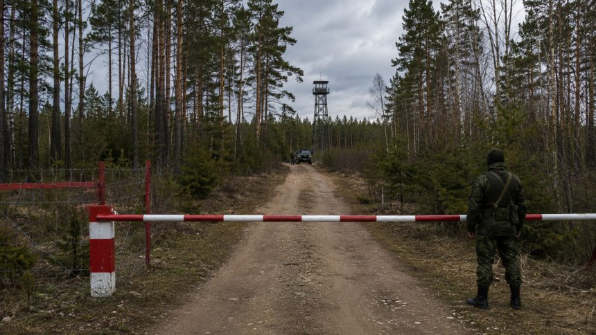 Білорусь обмежила доступ до лісів у 19 районах
