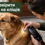 Як перевірити собаку на кліщів через iPhone та Android: покрокова інструкція
