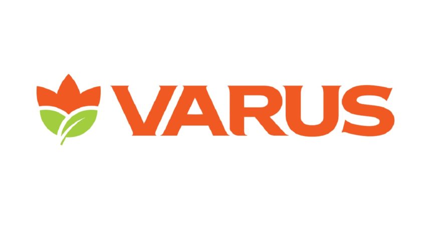 Товар дня Varus 12 червня 2026: що можна купити зі знижкою 50% лише сьогодні